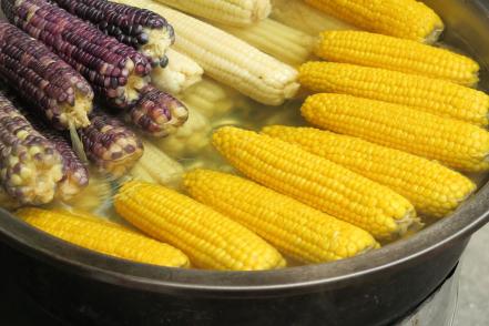 Tlaxcala: la tierra del maíz multicolor - El Universal