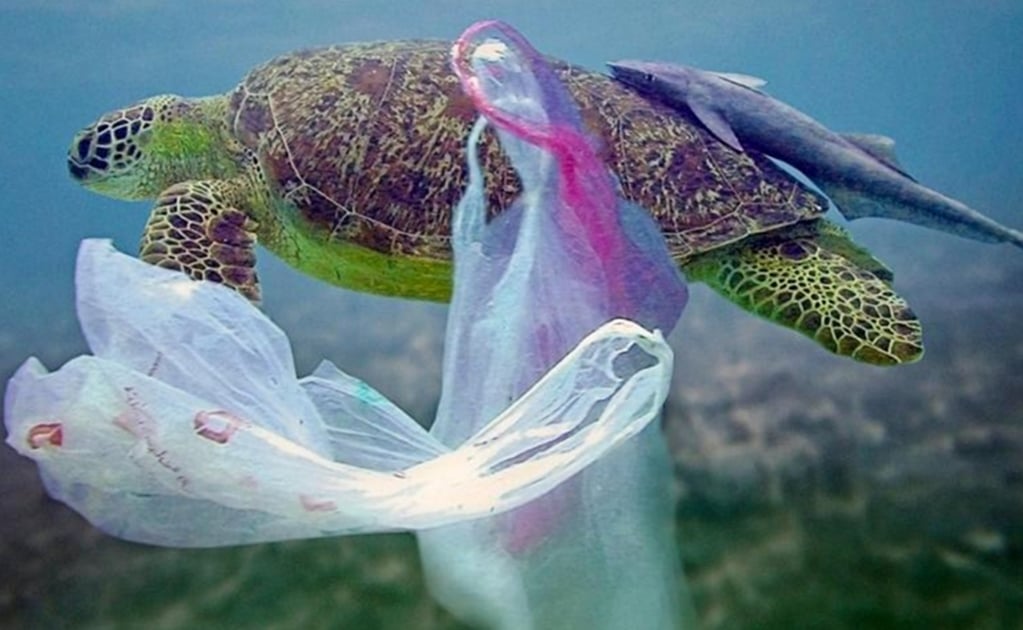 En el 2050 habrá más plástico que peces en el mar