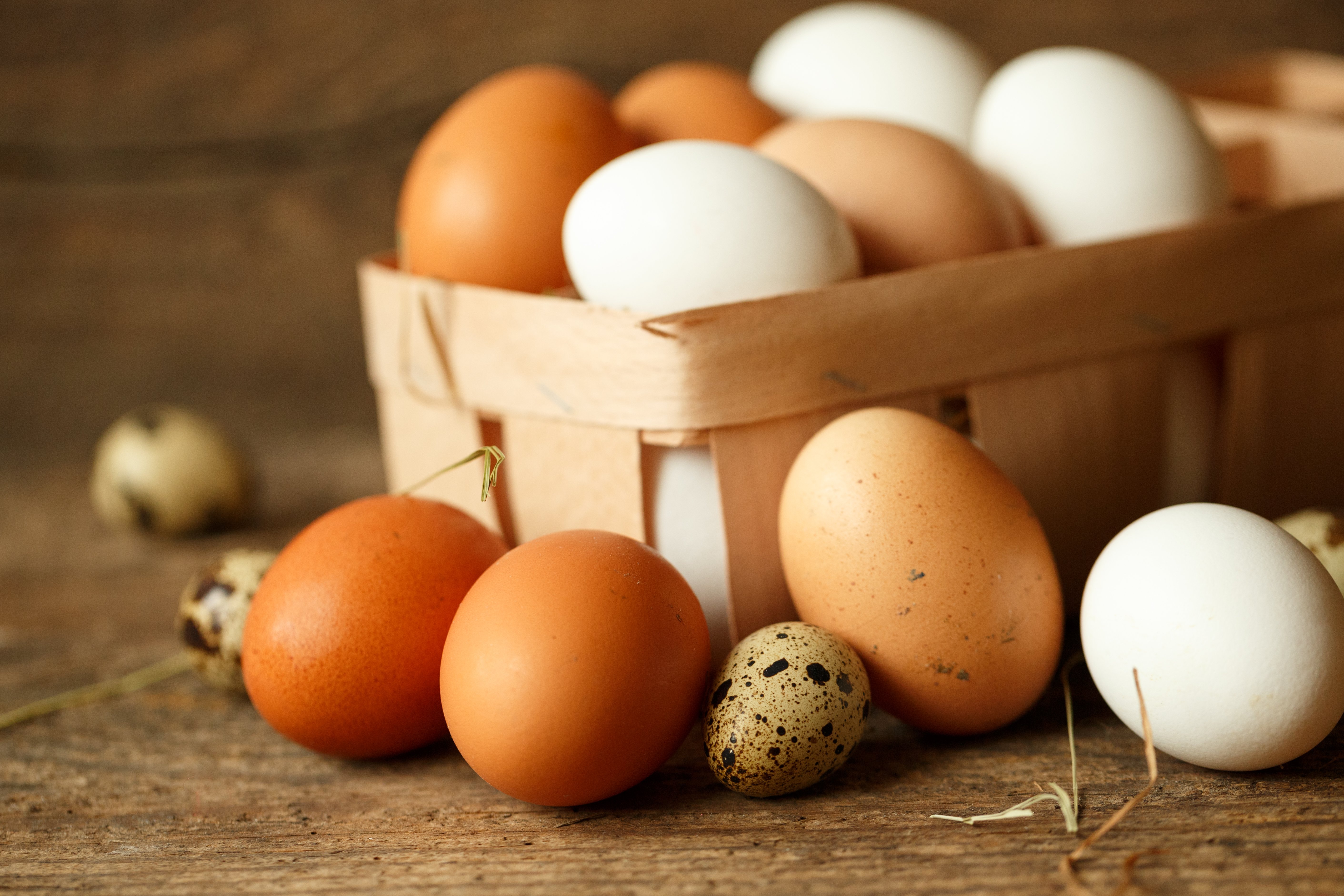   12 reasons why you love the egg 