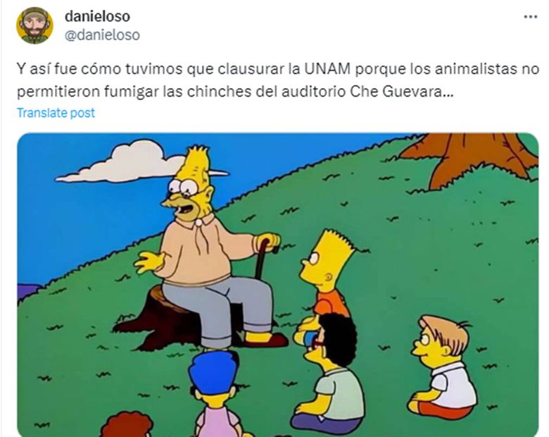 Memes de chinches en la UNAM. Foto: Redes Sociales