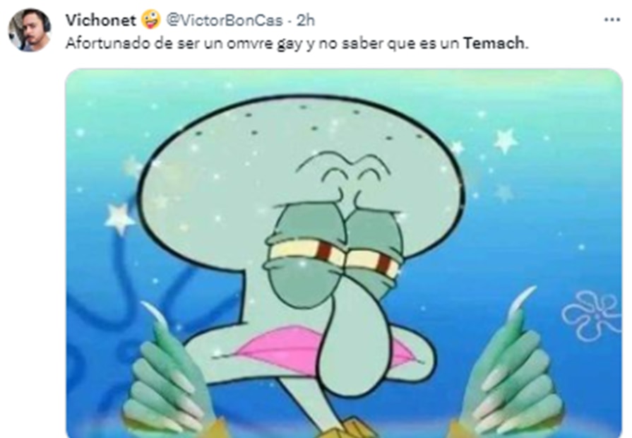 Memes "El Temach". Foto: Captura de pantalla