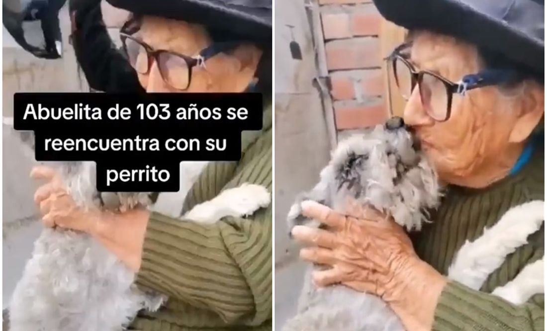 VIDEO: Abuelita de 103 años se reencuentra con Raylu, el perro que creyó haber perdido