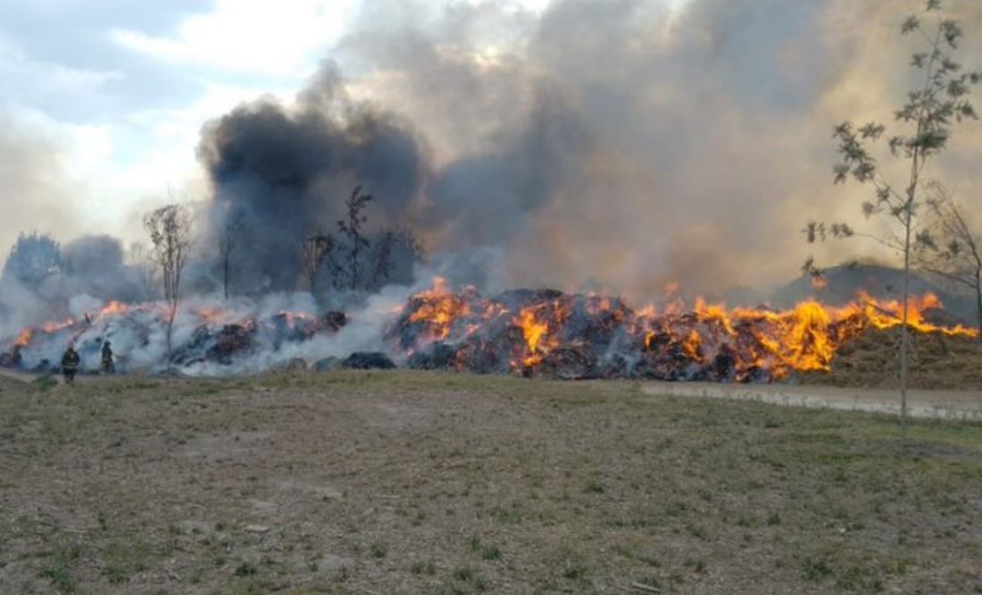 Reportan incendio de composta y basura en parque Cuitláhuac en Iztapalapa