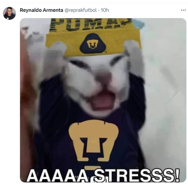 Los mejores memes de la derrota de Pumas ante Atlético de San Luis