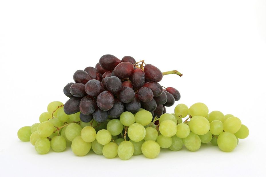La variedad de las uvas es muy grande: hay verdes, moradas, negras y rojas. Foto: Pixabay 