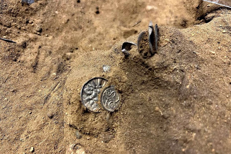 En otoño, los miembros de Nordjysk Detektorforening encontraron varias monedas de plata en un campo cerca de Bramslev, al noreste de Hobro, a ocho kilómetros del castillo vikingo Fyrka. Foto: Nordjyske Museer