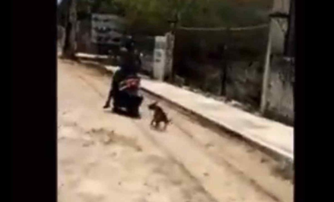 Detienen a motociclista que arrastró del cuello a un perro en Ticul, Yucatán
