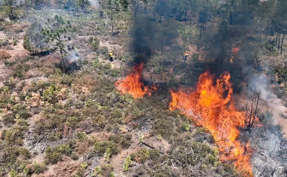 La Dirección de Desarrollo Forestal y Recursos Naturales de la Secretaría de Desarrollo Rural, dio a conocer que dichos incendios han sido atendidos de manera pronta. Foto: especial