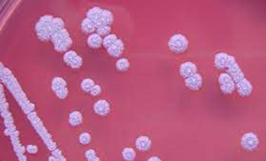 Alertan los CDC por bacteria con 50% de mortalidad detectada en EU