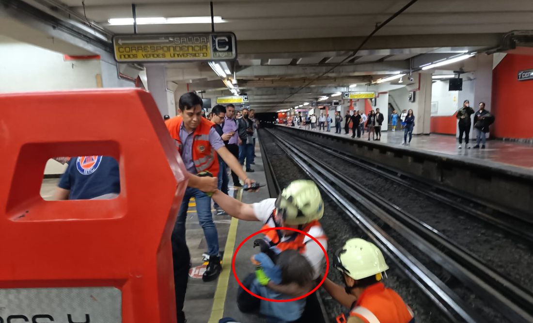 VIDEO: Gallina cae a las vías del Metro; suspenden servicio unos minutos en L9 para rescatarla