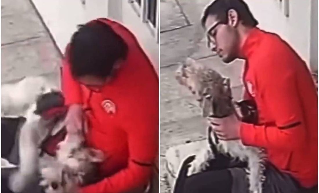 VIDEO: Captan a sujeto golpeando a perrito en La Narvarte; Brigada de Vigilancia Animal busca a agresor casa por casa