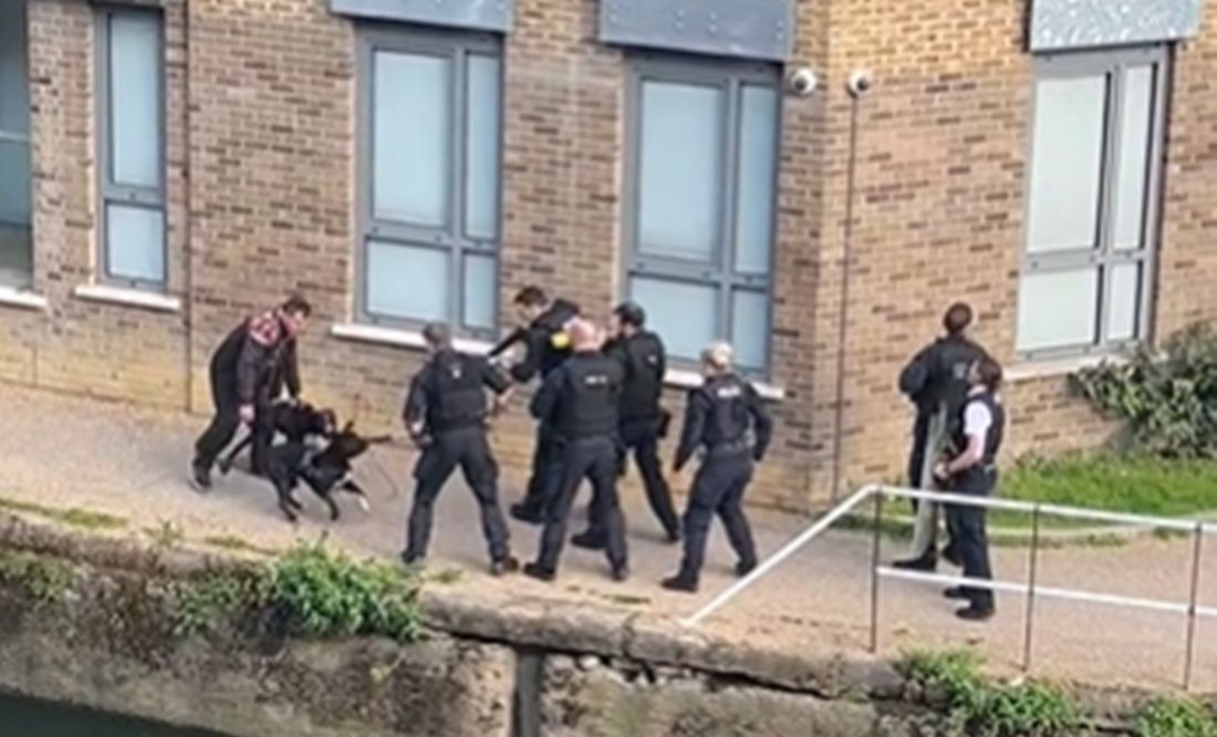 VIDEO: Policías de Londres matan a tiros a dos perros pitbull y desatan críticas en redes