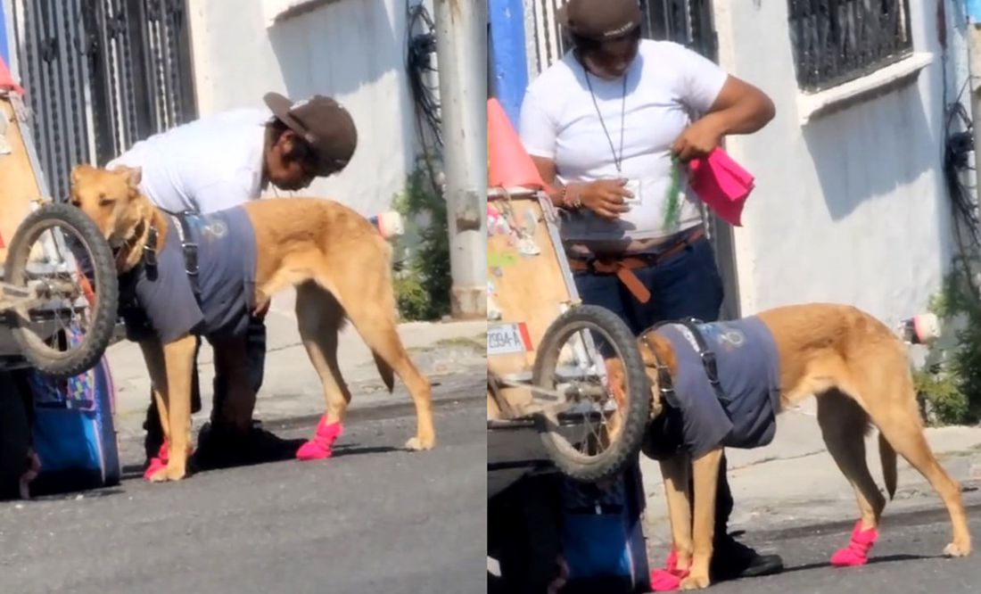 ¡Cuánto amor! Recolector de basura coloca 'botitas' a su perro para cuidarlo del asfalto caliente