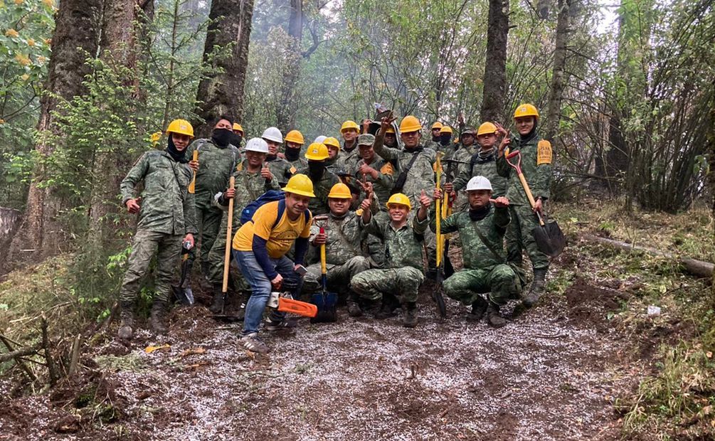 Controlaron incendio forestal en el parque nacional Lagunas de Zempoala. Foto Especial