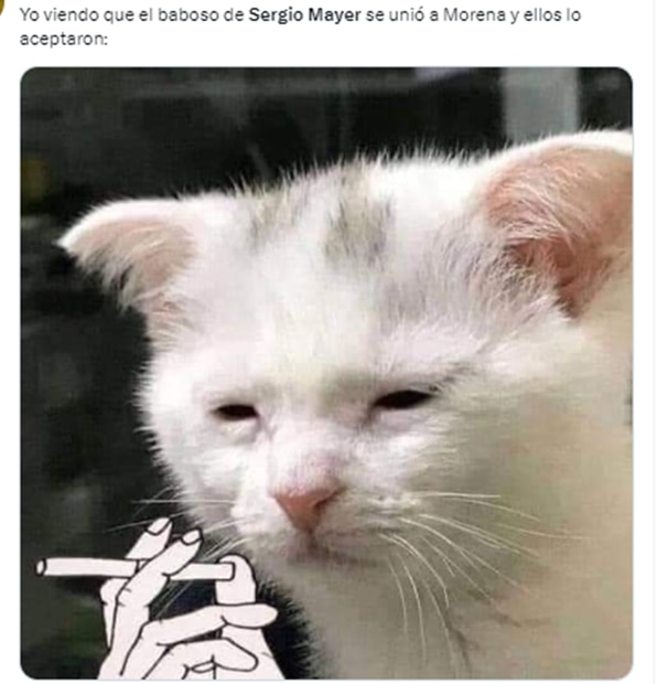 Memes Sergio Mayer. Foto: Captura de pantalla
