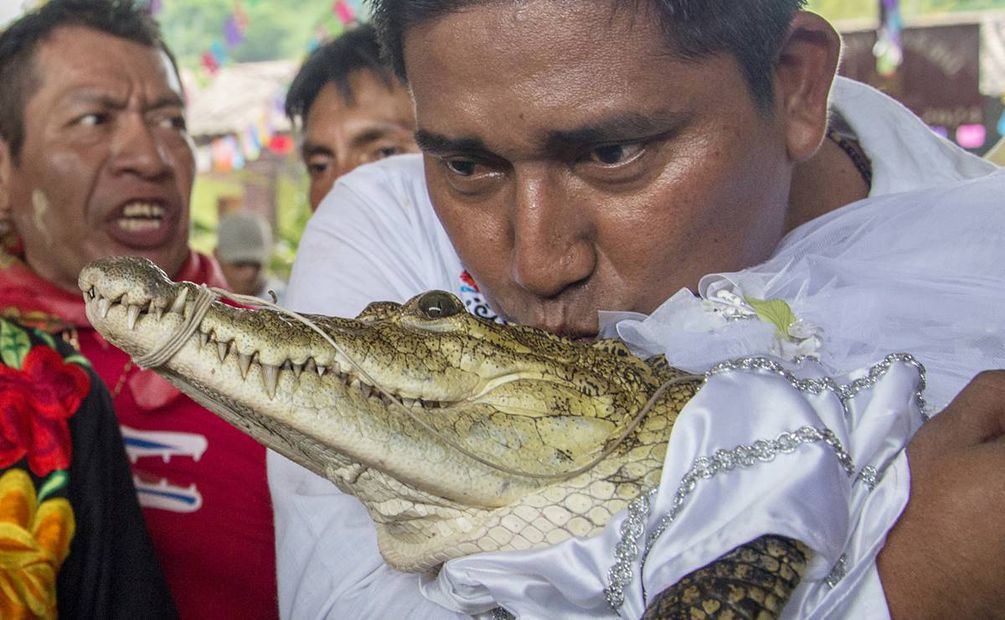El presidente municipal Víctor Hugo Sosa García, besa a una novia lagarto en el municipio de San Pedro Huamelula estado de Oaxaca. Foto: EFE