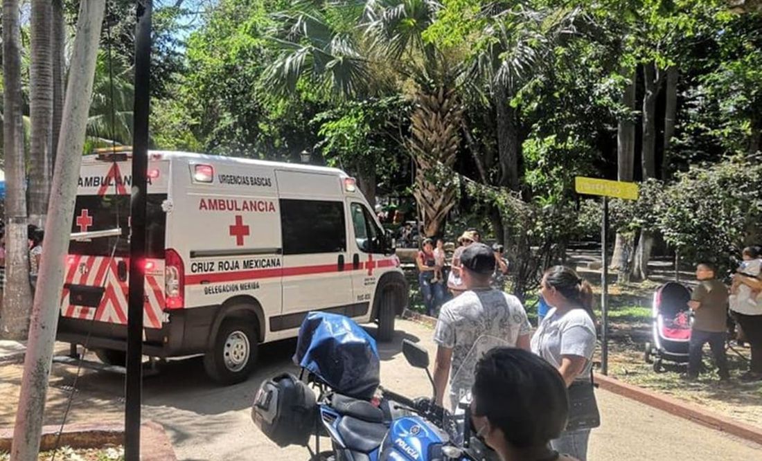Reportan 3 lesionados en descarrilamiento de trenecito en zoológico de Yucatán