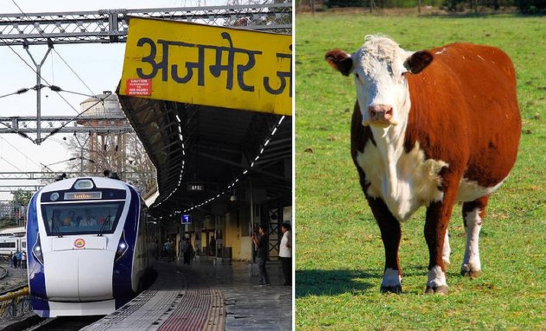 Vaca “cae del cielo” sobre hombre y lo mata… tras ser arrollada por un tren en India