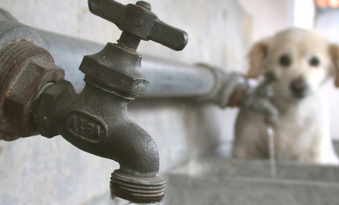 Senadores de Morena exhortan al Congreso a expedir Ley General de Aguas ante crisis y robo del líquido