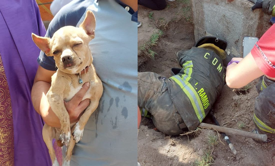 Entre porras, bomberos rescatan a perrito atrapado en Iztacalco