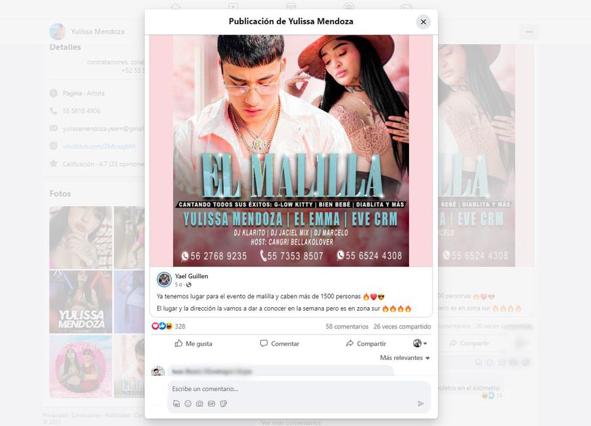 Yulissa Mendoza publicación Facebook sobre concierto. / Foto: Captura de pantalla.