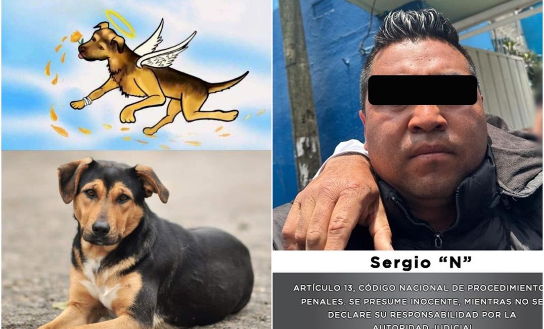 ¿Cuánto dinero ofrecían por entregar al asesino de “Benito”, perrito lanzado al aceite hirviendo de Tecámac?