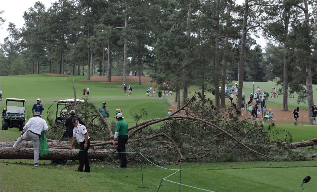 Un árbol de aproximadamente 30 metros cae sobre el público presente en el Masters de Augusta