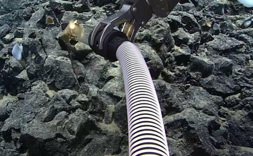 Con un brazo mecánico, los científicos submarinos pudieron tomar muestras del huevo dorado. Foto: NOAA Ocean Exploration
