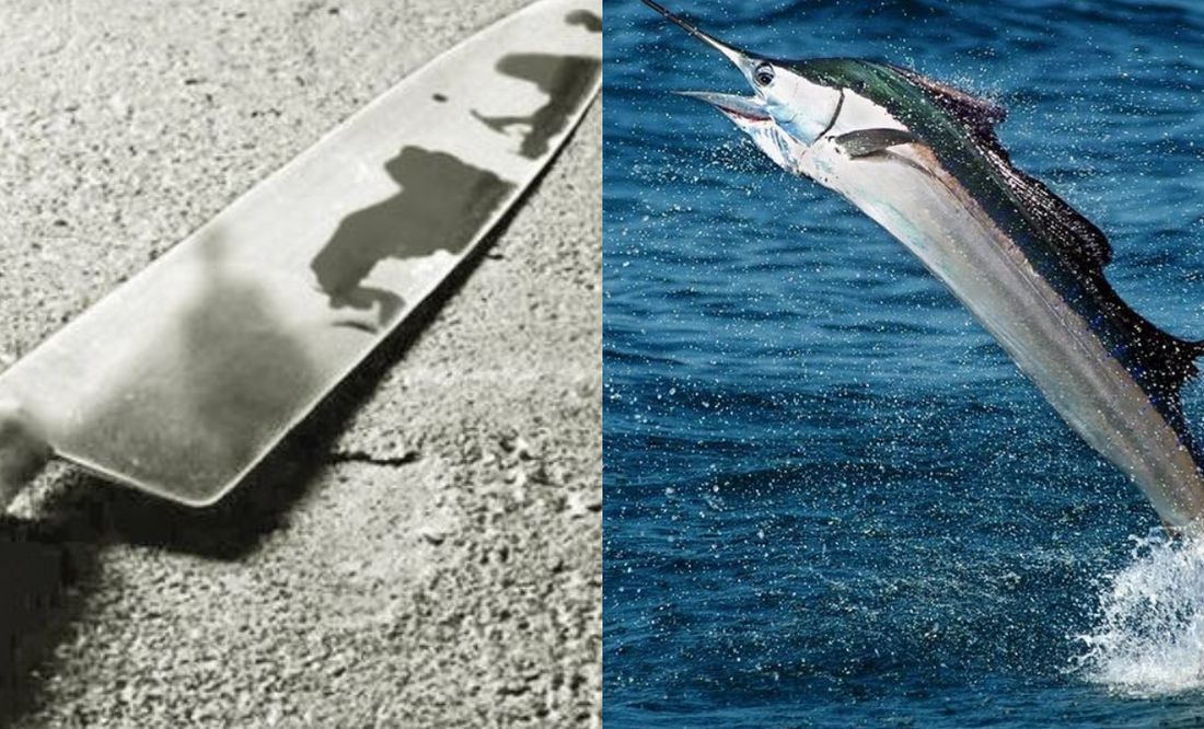 Con cuchillo y punta de pez vela mata a pescador en Mazatlán; le dan 22 años de cárcel