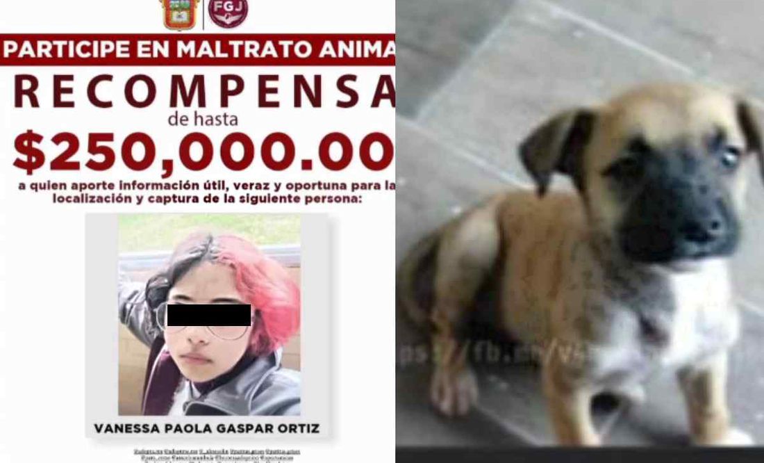 Fake news: Fiscalía de Edomex desmiente recompensa de 250 mil por Vanessa, asesina de 'Huellitas'