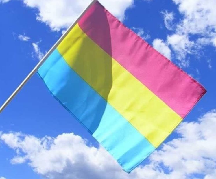 Bandera de la pansexualidad. Foto: Pinterest