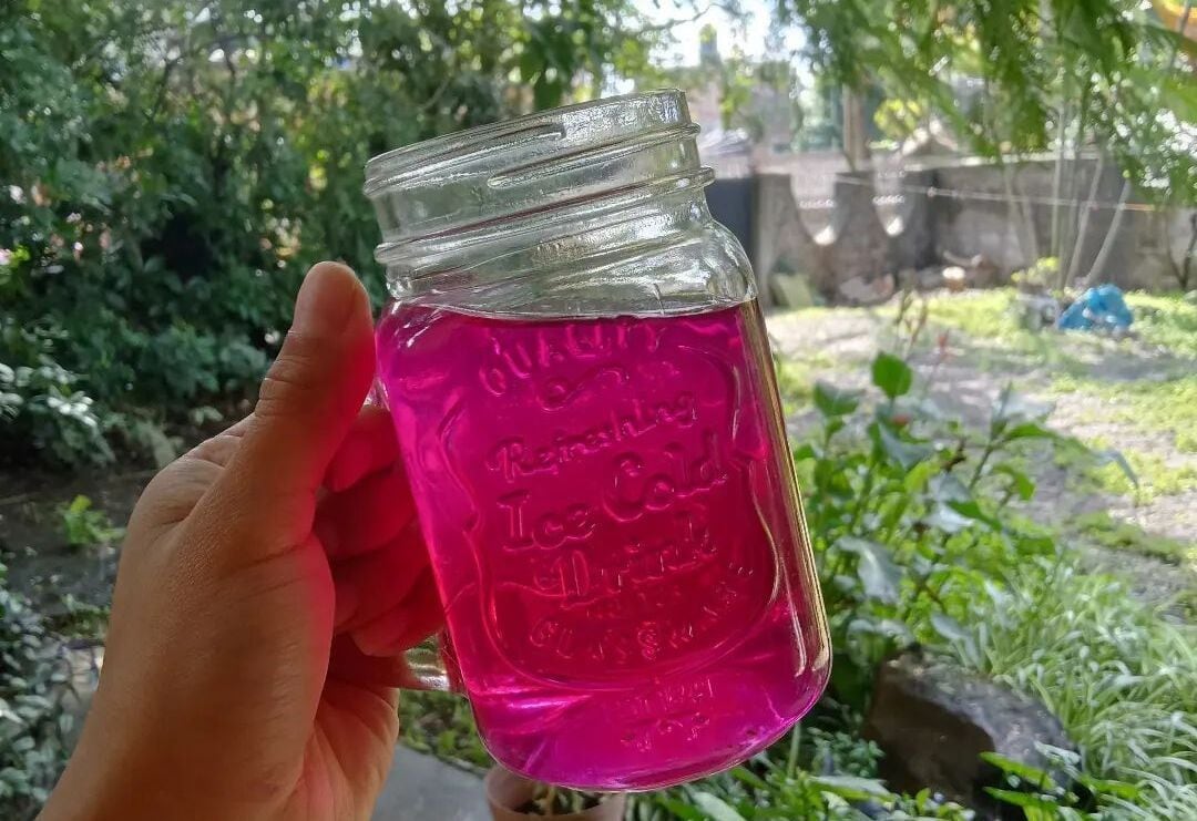 Conoce las propiedades medicinales de la infusión de muicle