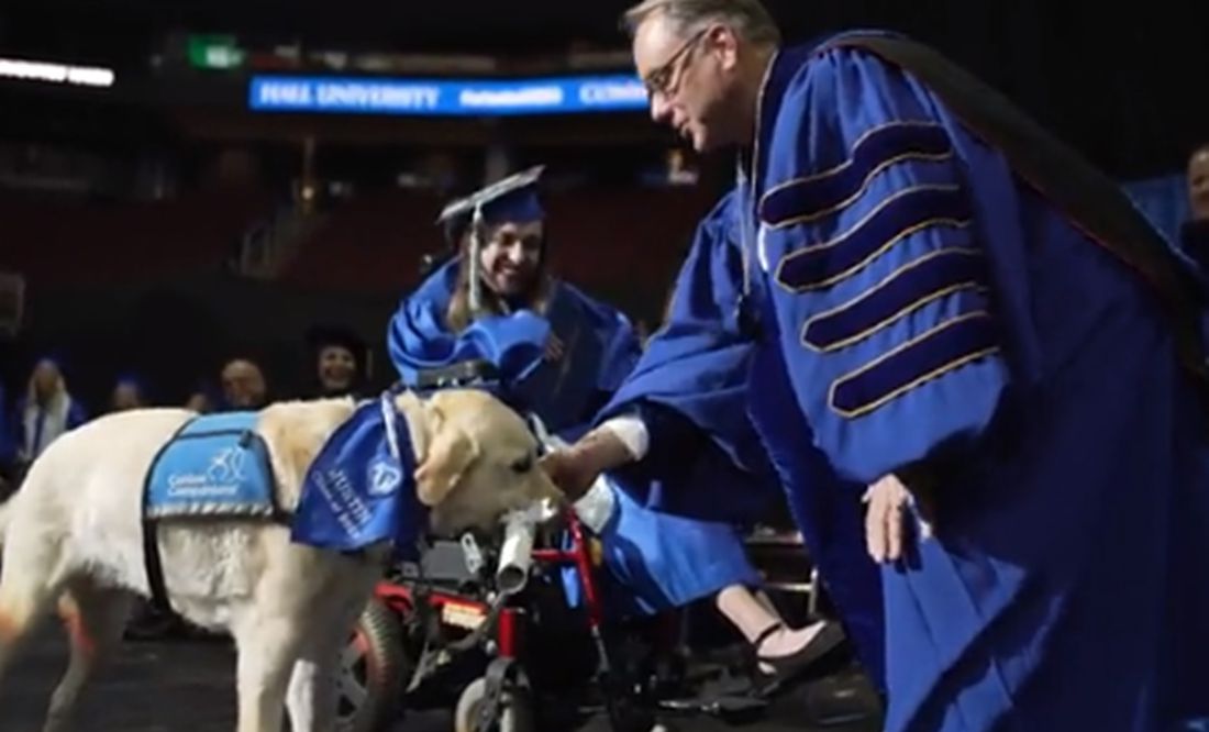 ¡Ah perro! Lomito guía recibe diploma universitario por asistir a todas las clases junto a su dueña