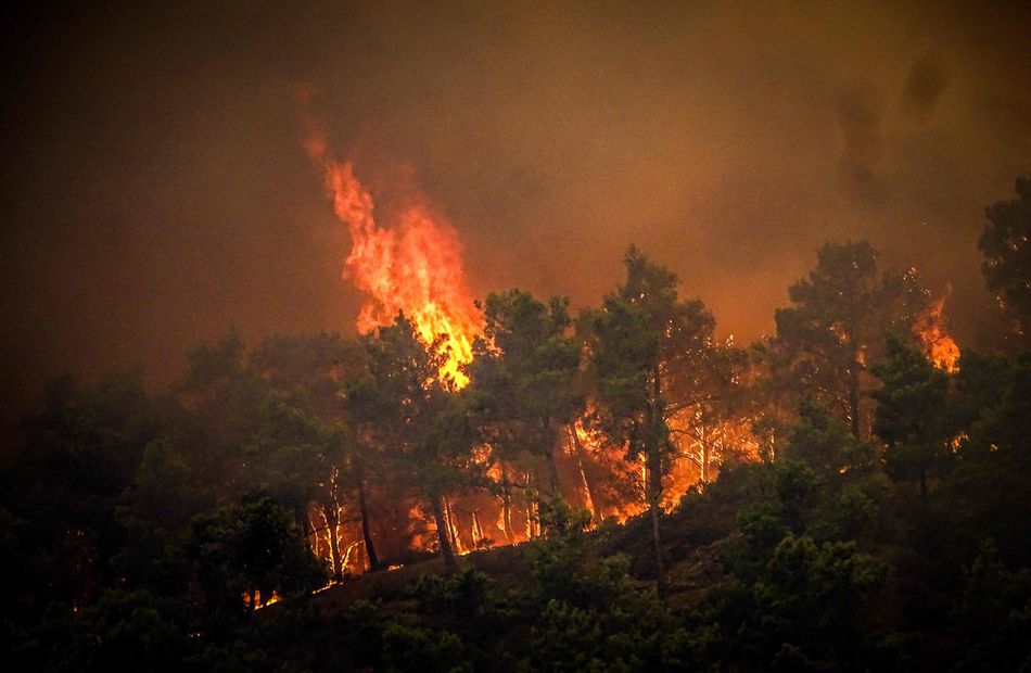 Pinos ardiendo en un incendio forestal en la isla griega de Rodas. Foto: AFP