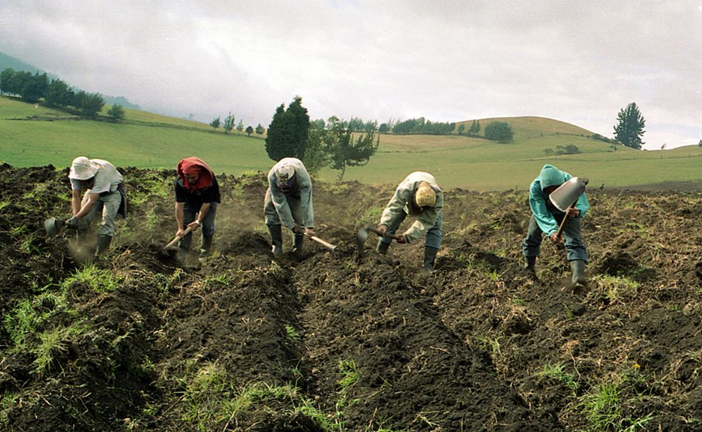 Los agricultores desarrollan sus actividades conforme al pronóstico de las cabañuelas. Foto: Especial