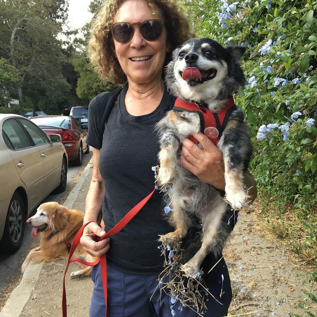 Rhea Perlman fue la mamá de Matilda (Fuente Instagram @perlmonster)
