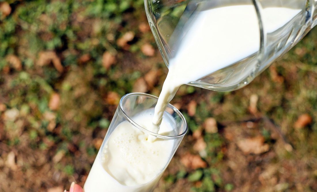 10 datos curiosos sobre la leche