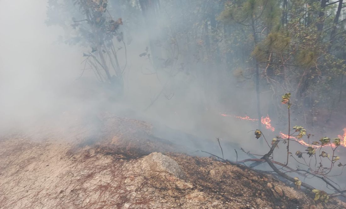 Declaran contingencia ambiental por incendio forestal en Oaxaca; más de 30 viviendas, en riesgo