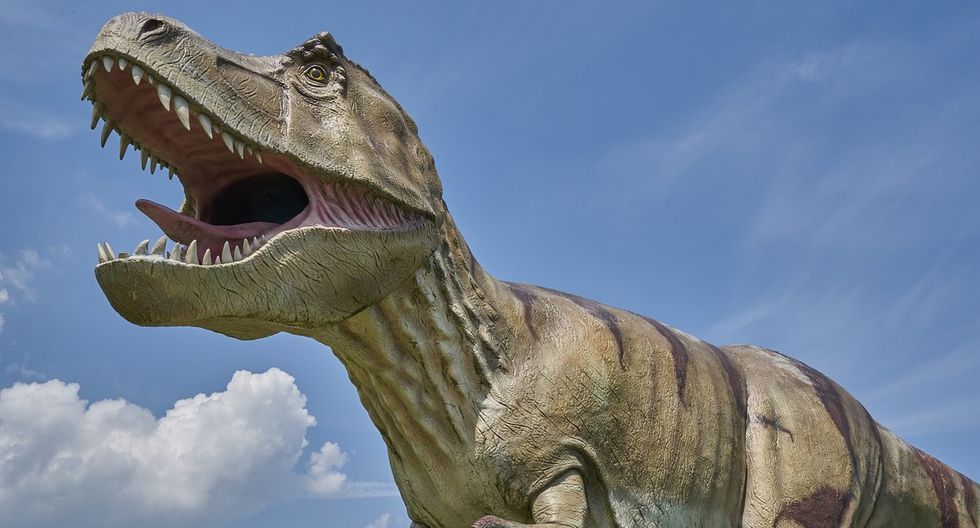 Ile kosztuje zwiedzanie nowej wystawy dinozaurów w UNAM?