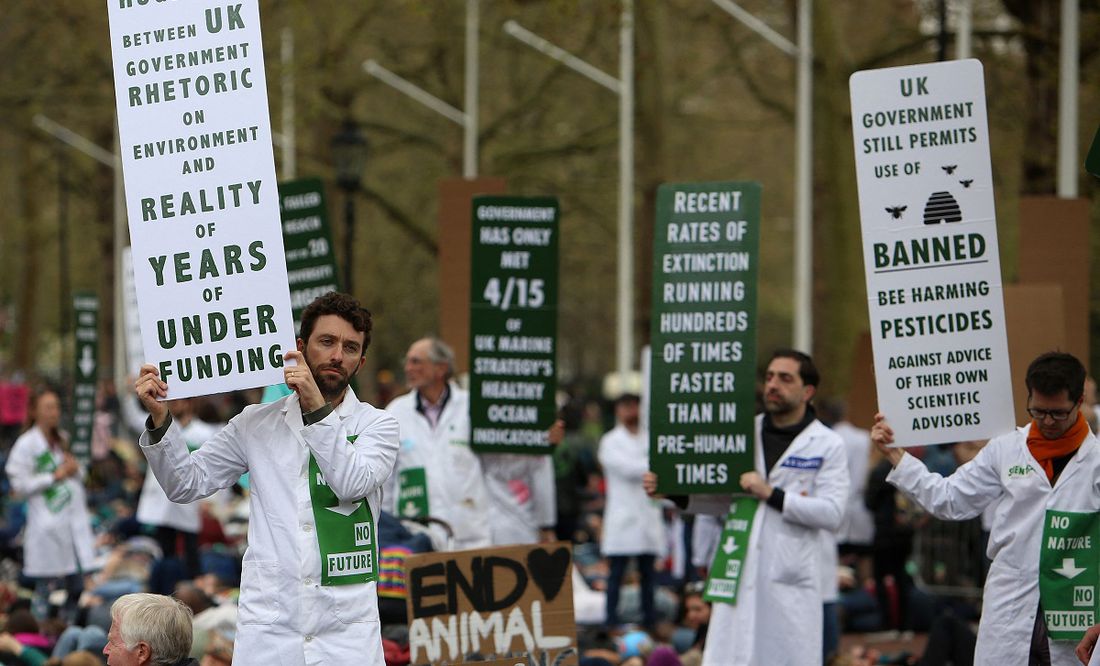 Miles se manifiestan por la biodiversidad frente al Parlamento británico