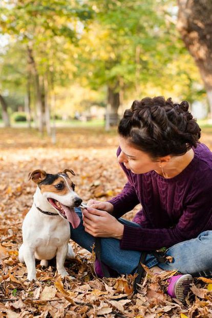 Estudio revela el impacto positivo de interactuar con perros en la salud mental. Fuente: Freepik.