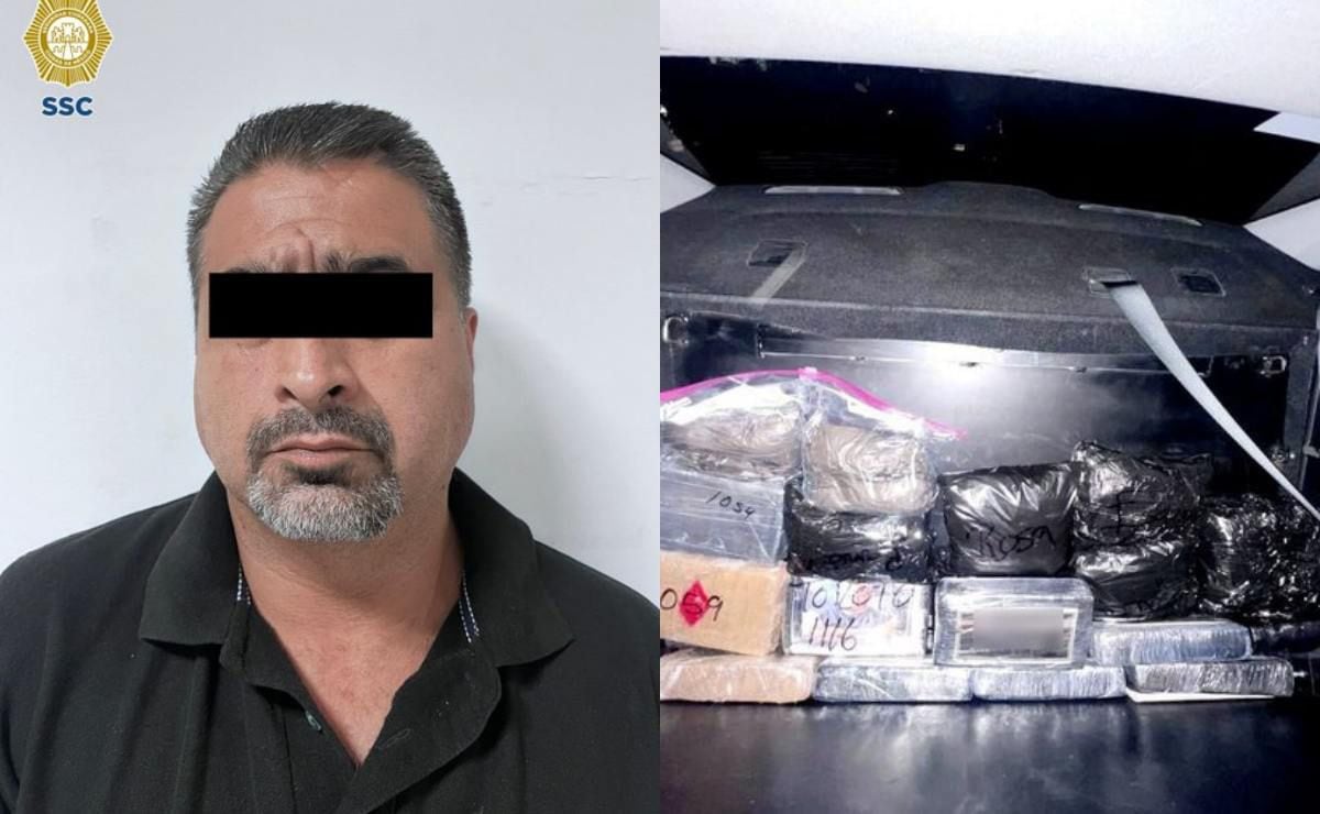 Caen otros dos implicados al grupo de narcotraficantes que se les decomisó  200 kilos de droga | El Universal