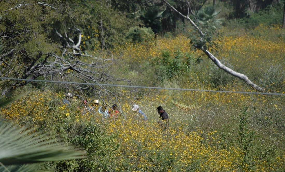Lo que sabemos del feminicidio de niña de 4 años hallada semienterrada en canal de Guasave, Sinaloa