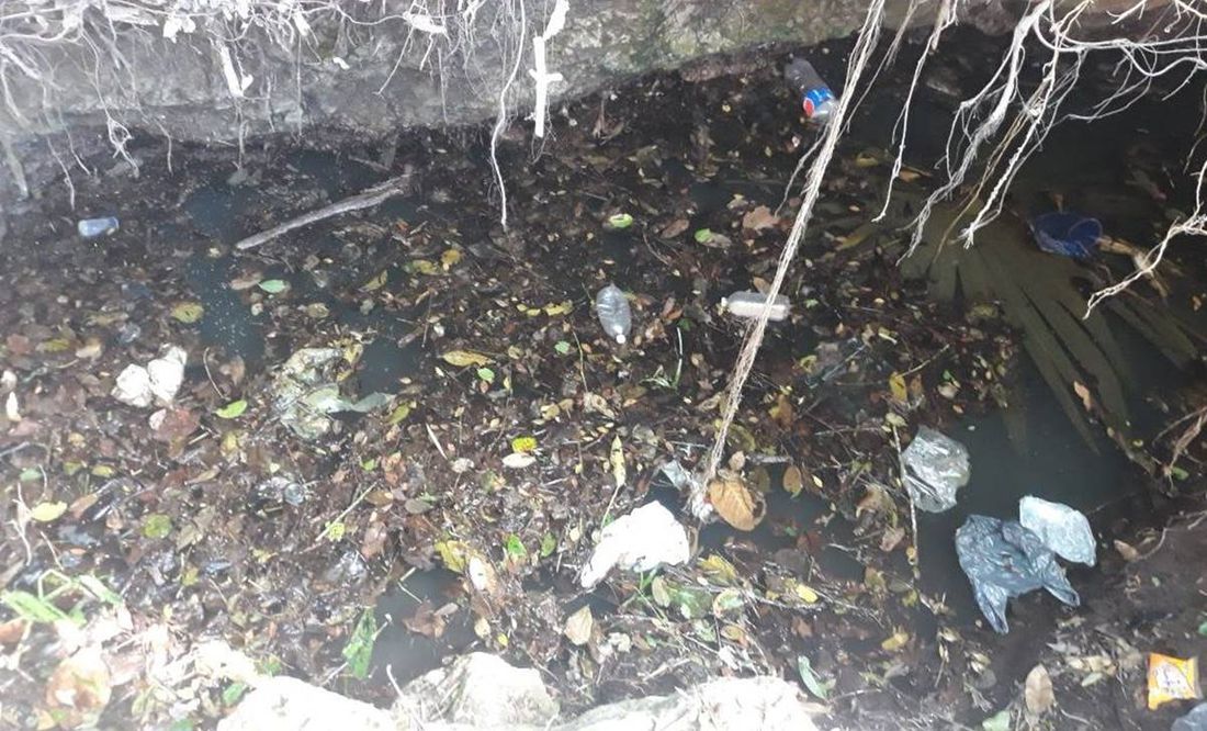 Denuncian contaminación de más de mil 400 cenotes de Yucatán con heces fecales y químicos