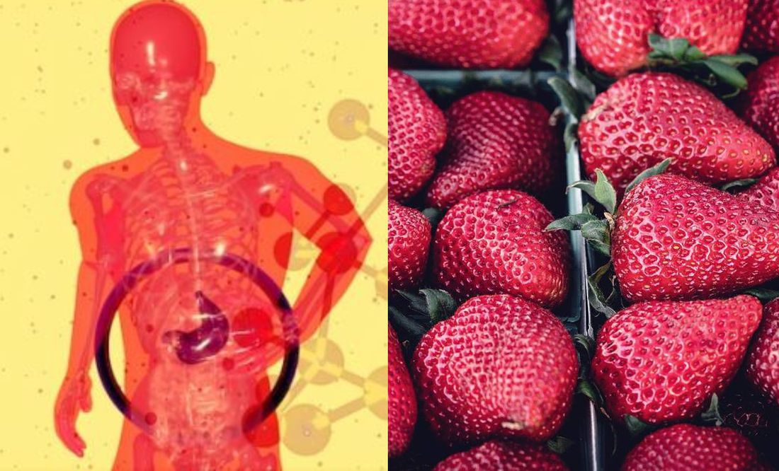 ¿Cuáles son los síntomas que podrían experimentar los intoxicados por consumo de fresas contaminadas con hepatitis “A”?