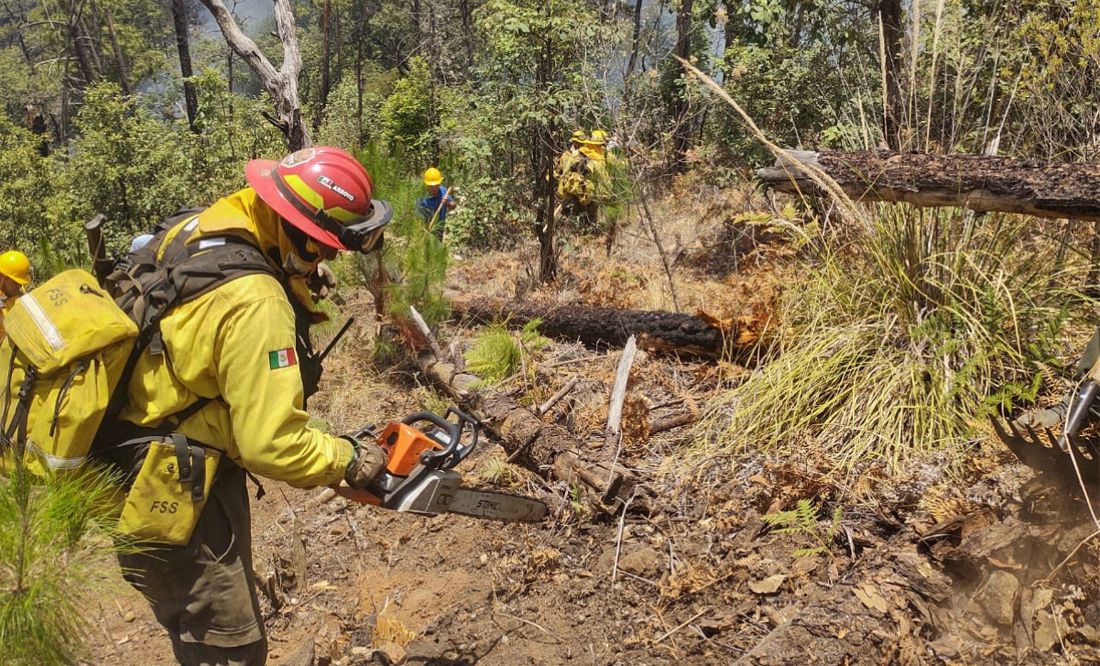 Crece incendio forestal en dos municipios de Michoacán