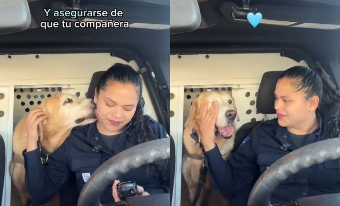“Gracias campeón”: Despiden a perro policía 'Bubu' tras 9 años de servicio en Hermosillo