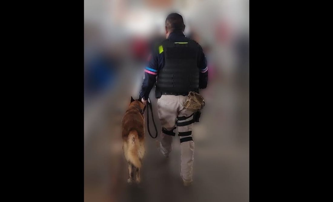 Agente canino asegura 22 kilos de cocaína en Puebla