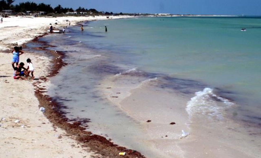 Marea Roja Sinaloa: Decretan veda temporal en Navolato