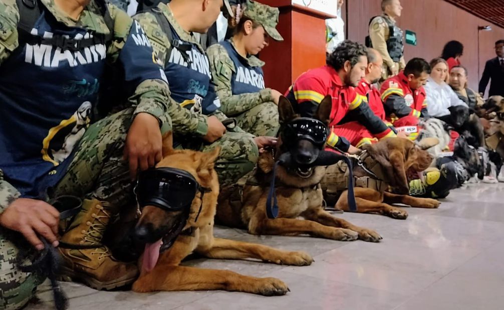 Destacan participación de binomios caninos en Cámara de Diputados. Foto: Enrique Gómez